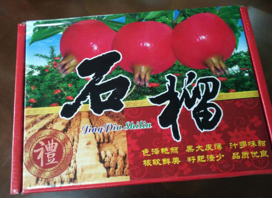 服務(wù)至上，合作長(zhǎng)久 